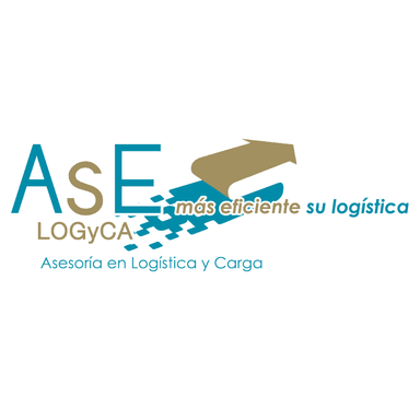 ASESORIA INTEGRADA INTERNACIONAL